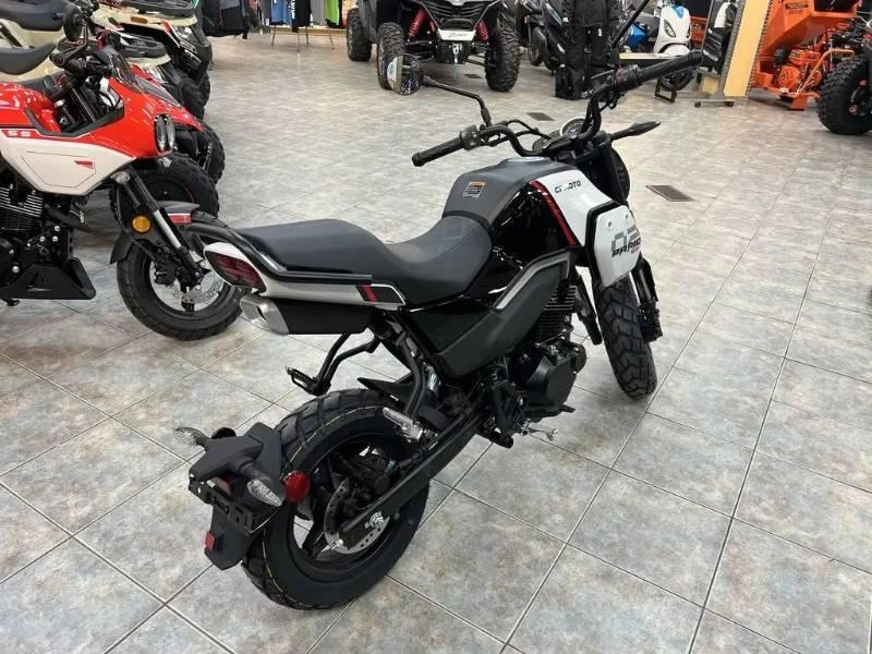 2024 Cfmoto Papio Cl alt