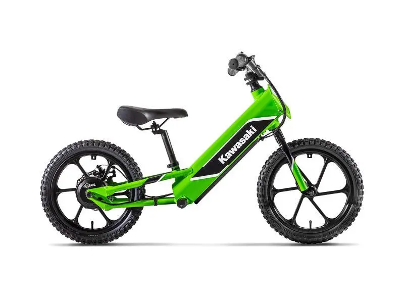 Kawasaki ELEKTRODE (promo 300.0 inclus) 2024