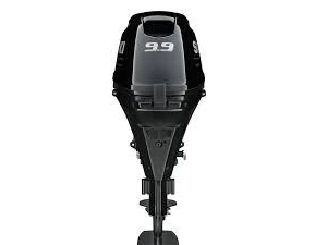 Suzuki Df9.9btl 2024 alt