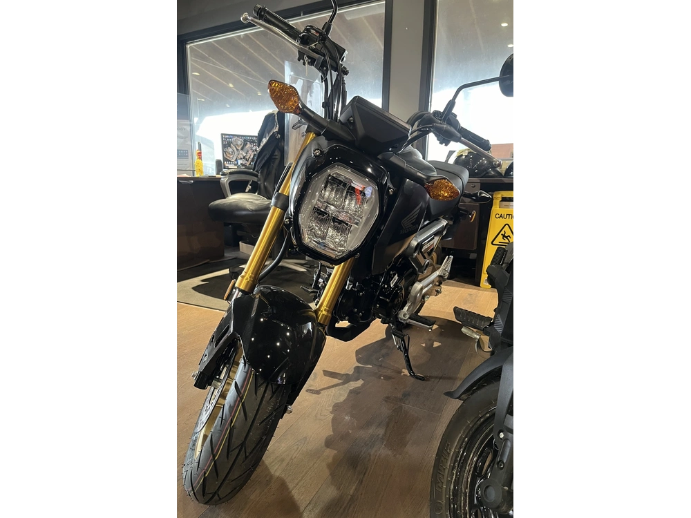 2024 Honda Msx 125 R alt