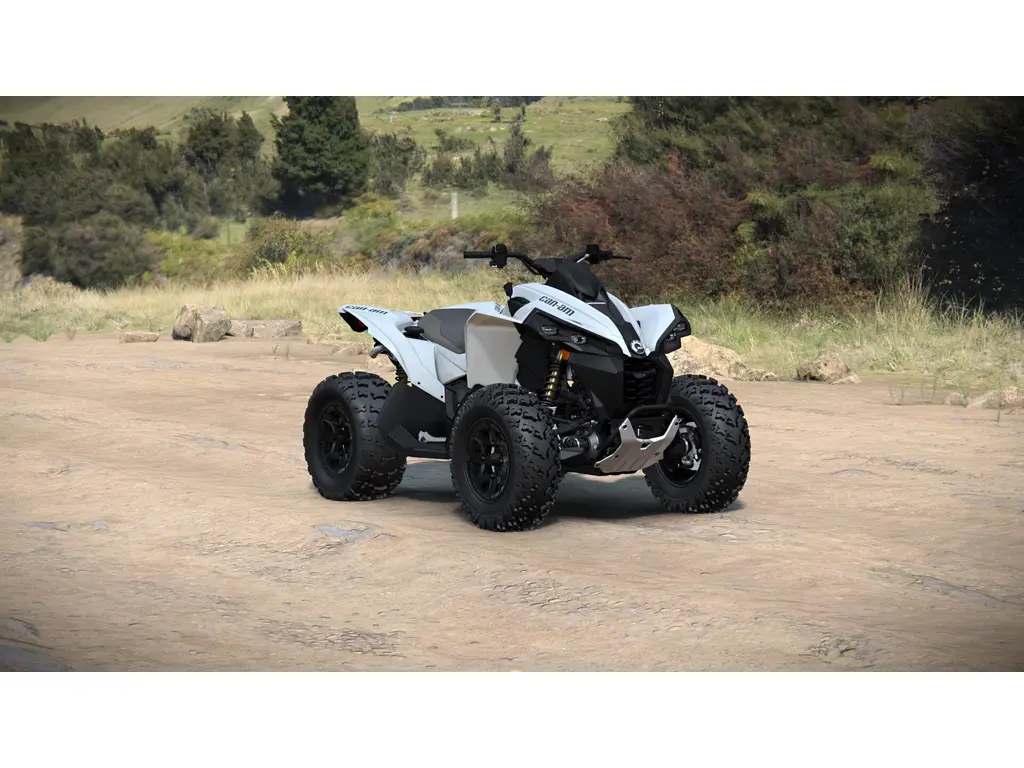2024 Can-Am Renegade 650 - 5PRB