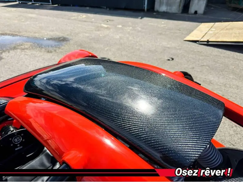 2024 Campagna T-Rex