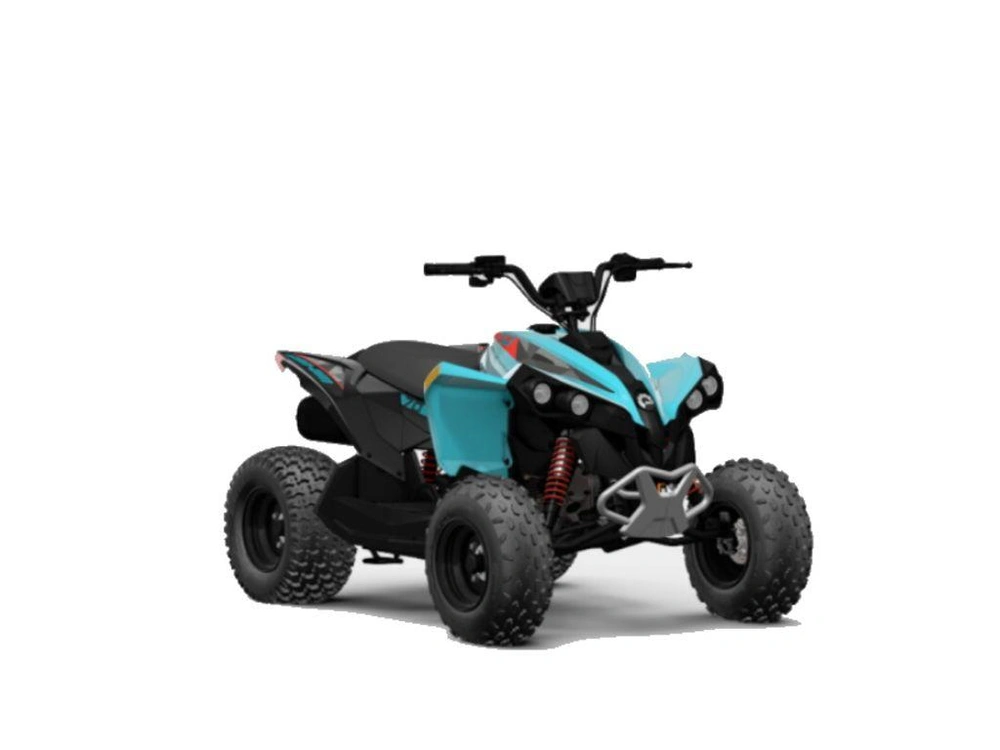 2024 Can-am Renegade 70 Efi alt