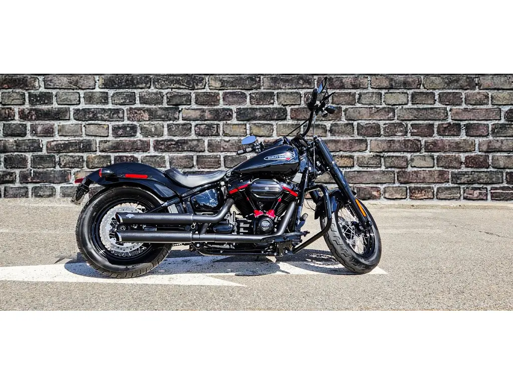 Harley-Davidson FLSL 2021
