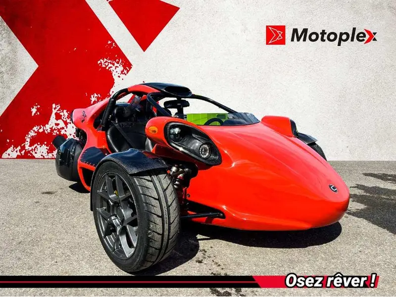 2024 Campagna T-Rex