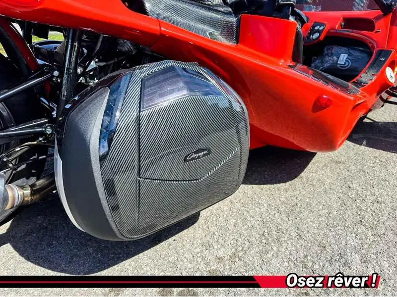 2024 Campagna T-Rex