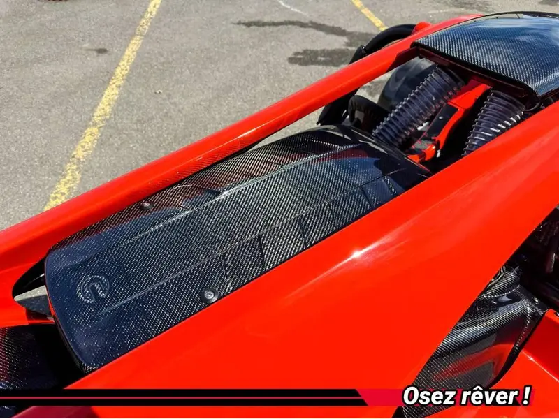 2024 Campagna T-Rex