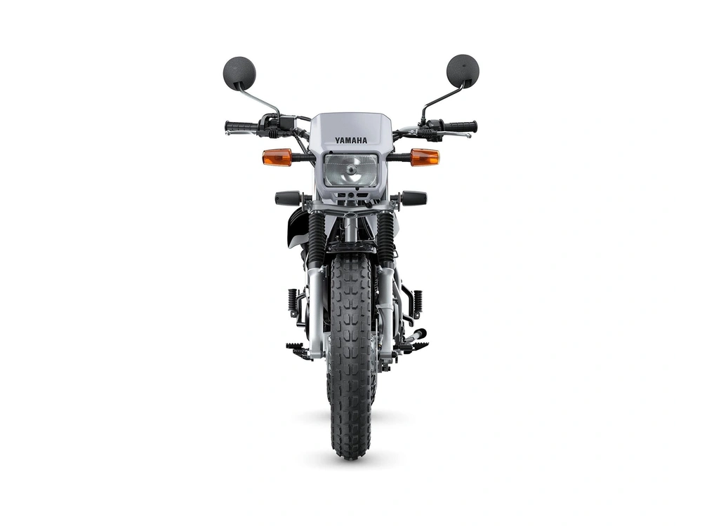 2024 Yamaha Tw200 alt