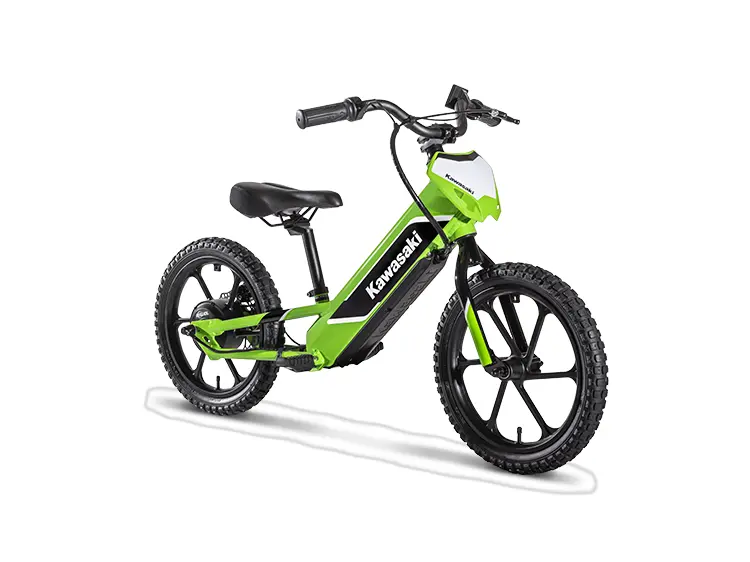 2024 Kawasaki Elektrode