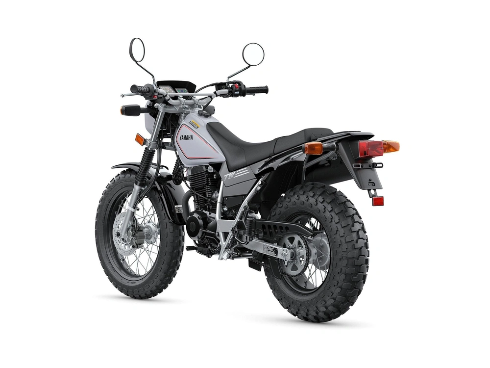 2024 Yamaha Tw200 alt