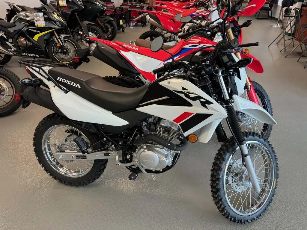 2023 Honda XR150 XR 150 L