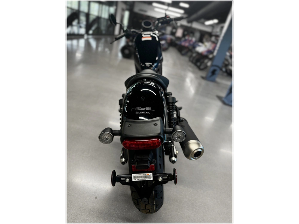 2024 Honda Rebel 300 (abs) *all-in-pricing alt