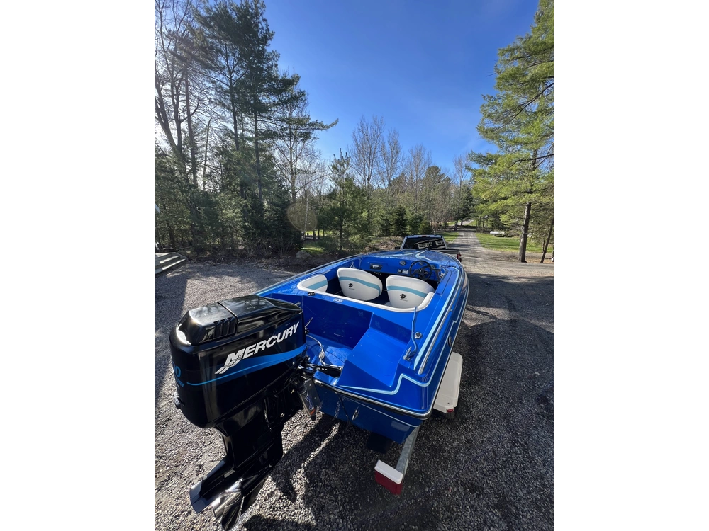 2001 Other Checkmate Pulseair 1700 Mercury 200 Efi alt