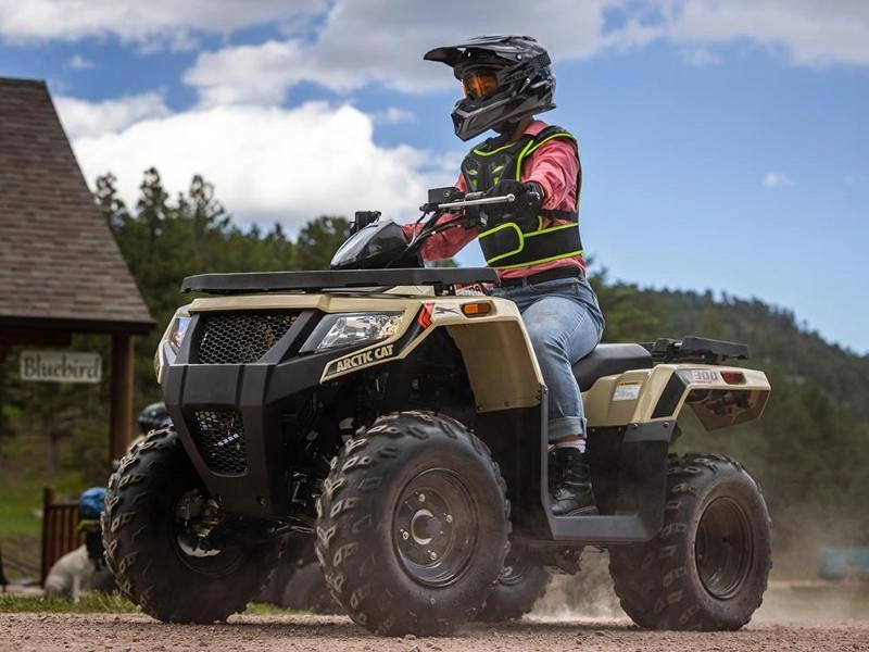 Arctic Cat Alterra 300 2024 alt