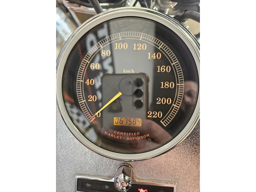Harley-davidson Softail Fat Boy Flstf 2002 alt