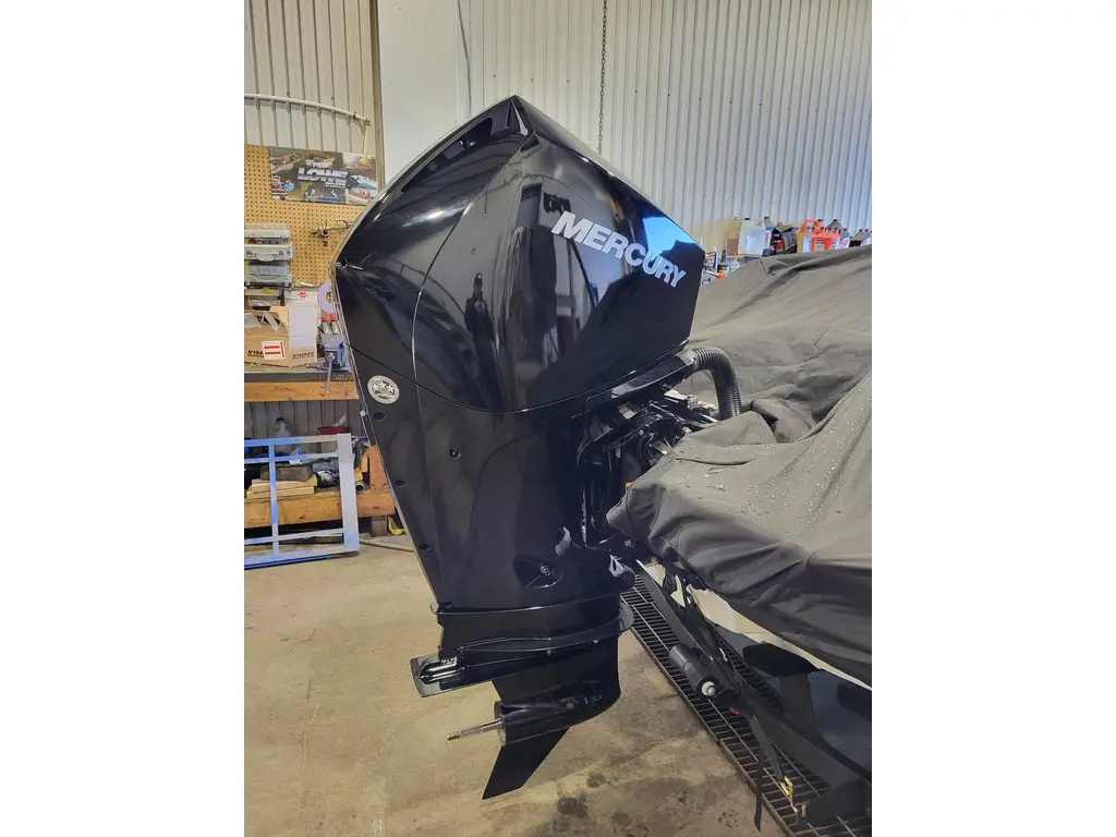 2020 Mercury Marine XL 4S DTS 225XL D.T.S