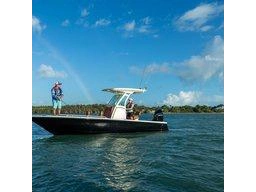 2024 Mercury 250xl Fourstroke alt