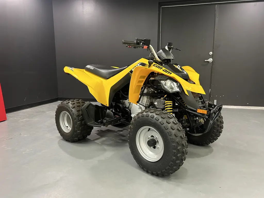 Can-Am DS 250 2019