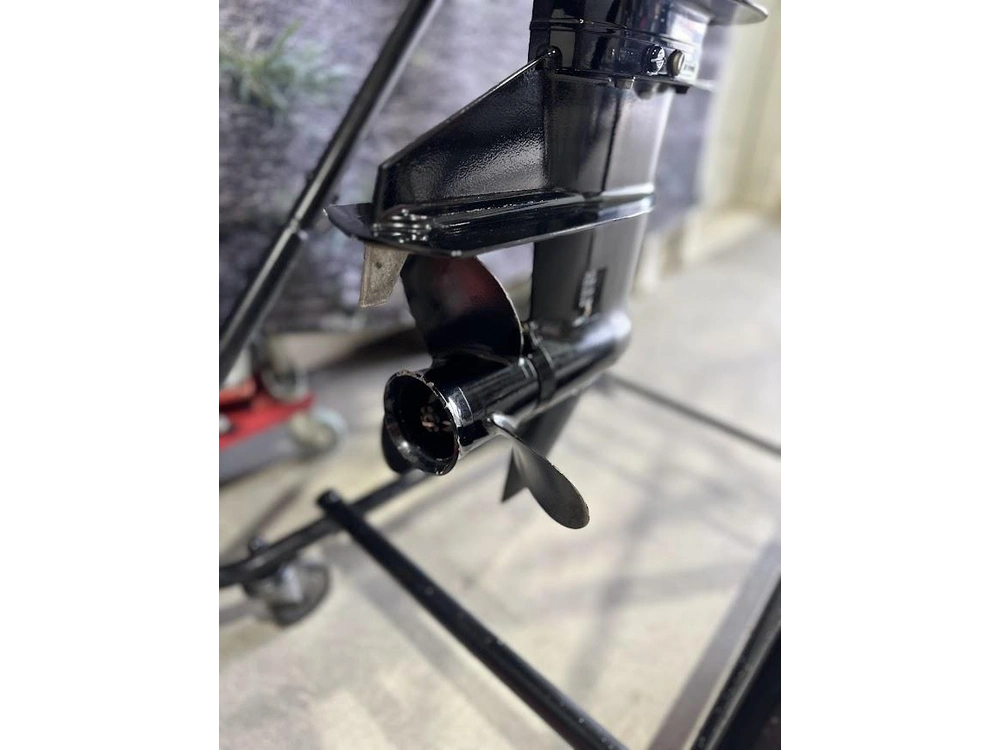 2016 Mercury 9.9mlh alt