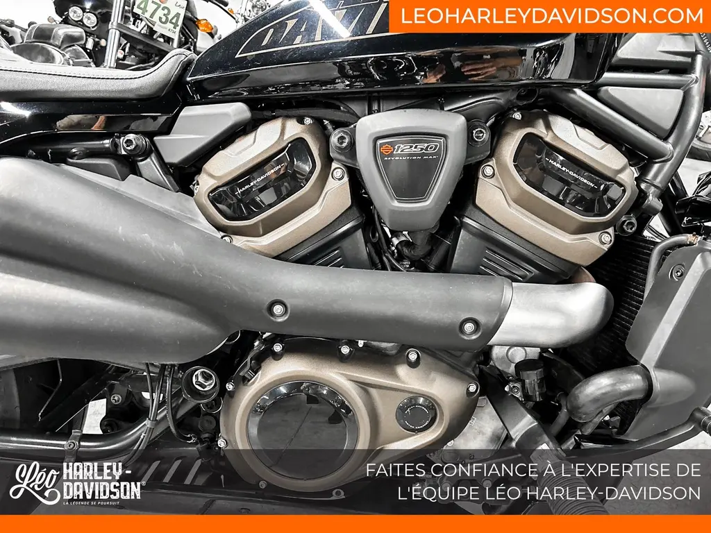 Used 2021 Harley-Davidson RH1250S in Brossard Léo Harley-Davidson®