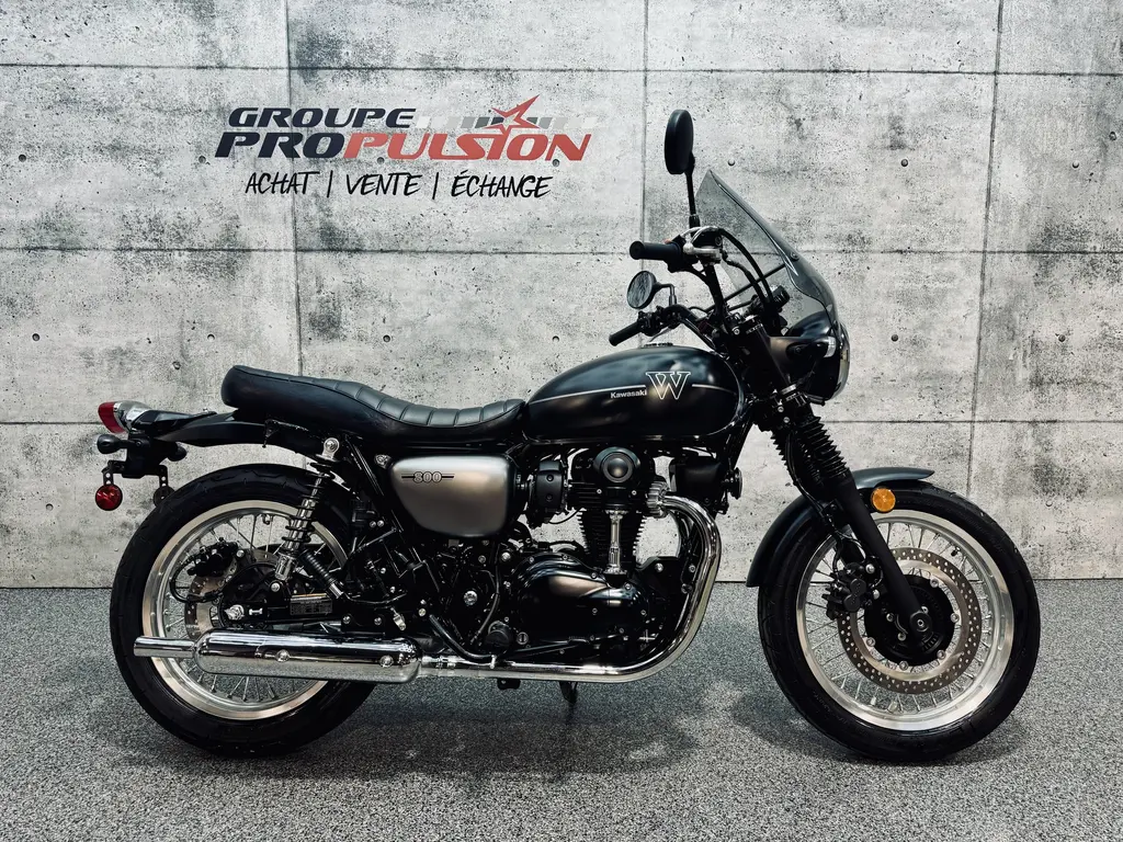 2019 Kawasaki W800 Street ABS