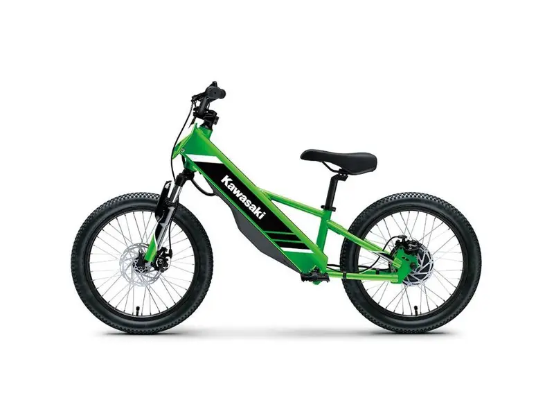 2025 Kawasaki ELEKTRODE 20