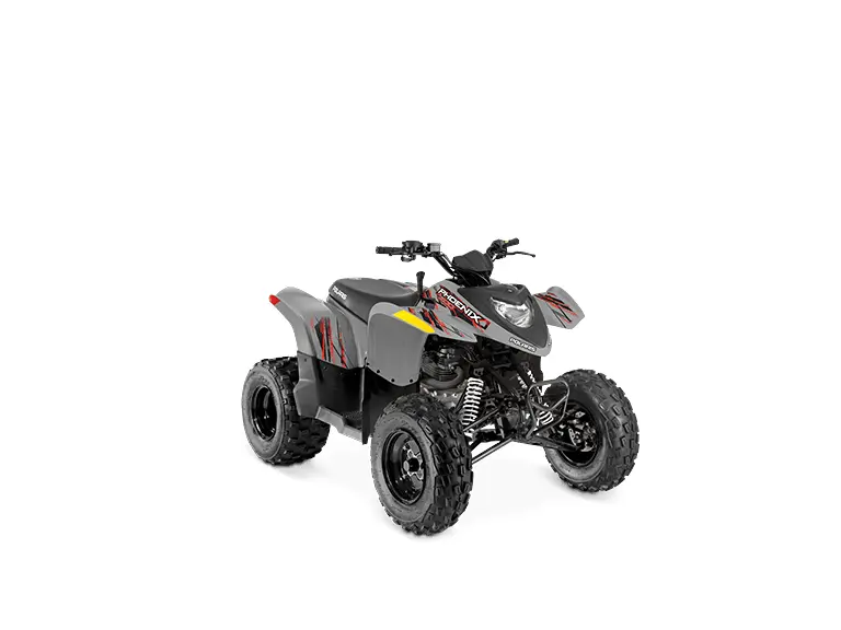2024 Polaris PHOENIX 200