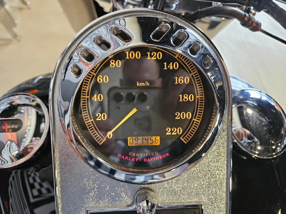 Harley-davidson Softail Fat Boy Flstf 2000 alt