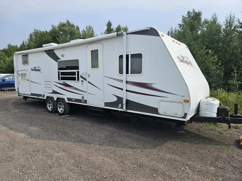 2007 Palomino Thoroughbred 271