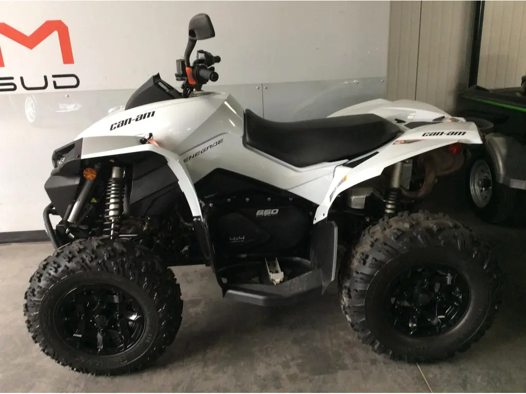 2023 CAN-AM RENEGADE 650