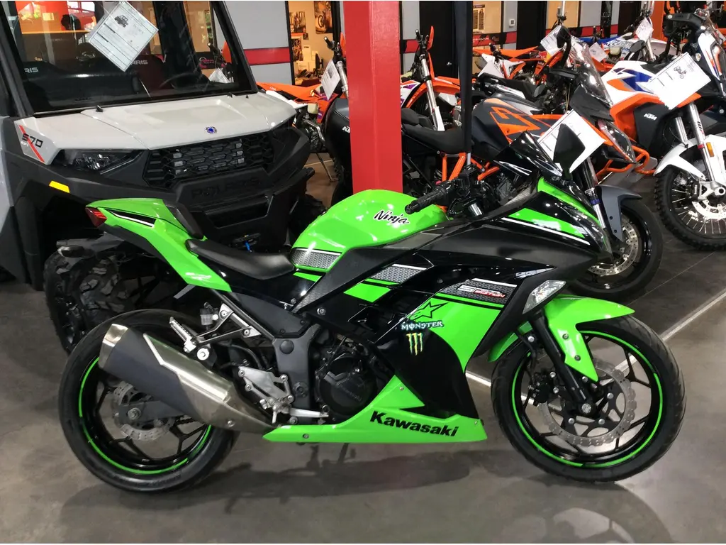 2013 Kawasaki EX300 NINJA