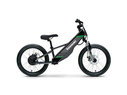 2025 Kawasaki Elektrode 20 *0%/60 Mois alt