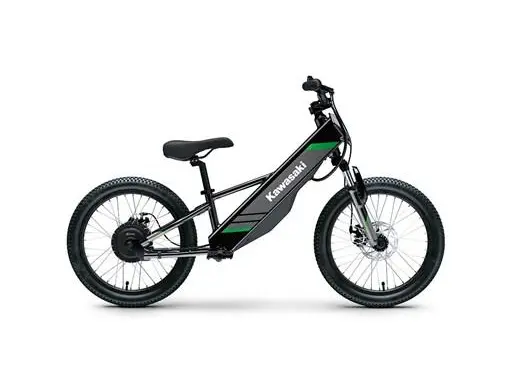 2025 Kawasaki ELEKTRODE 20