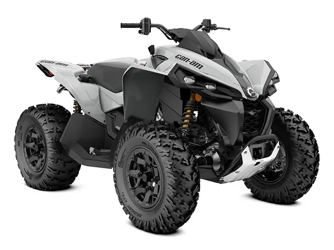 2024 Can-Am RENEGADE 650