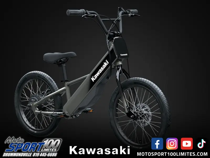 2025 Kawasaki Elektrode 20"