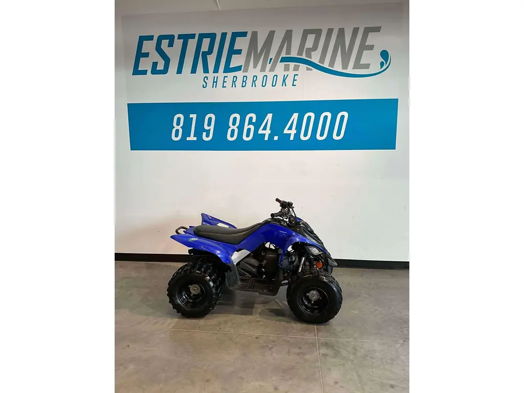 2011 Yamaha Raptor 90