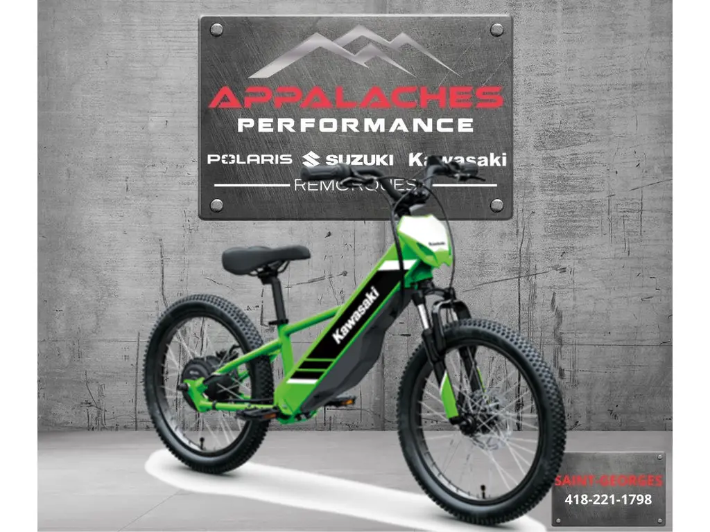 Kawasaki ELEKTRODE 20 **LIQUIDATION** 2025