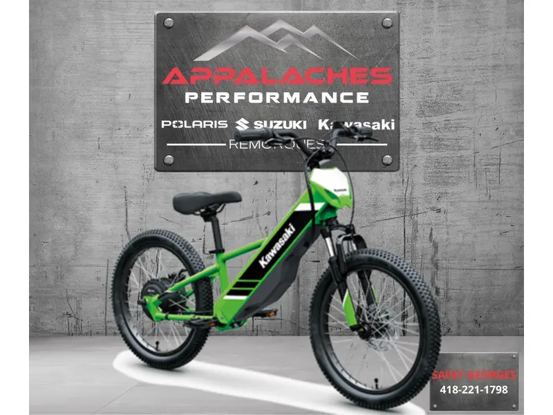 2025 Kawasaki ELEKTRODE 20