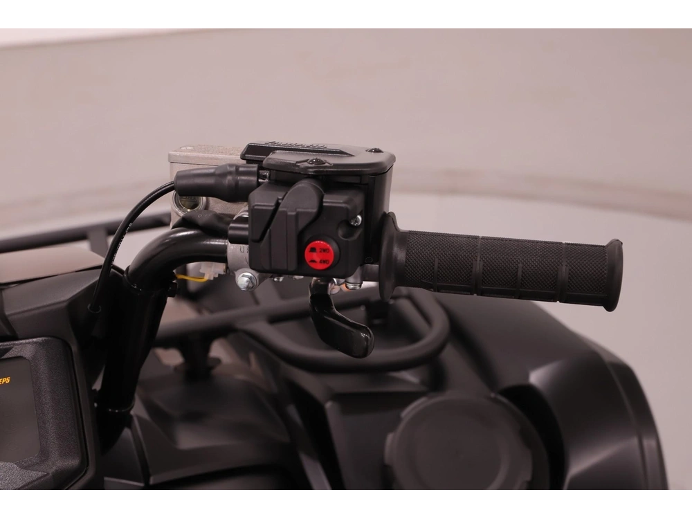 2024 Yamaha Grizzly Eps alt