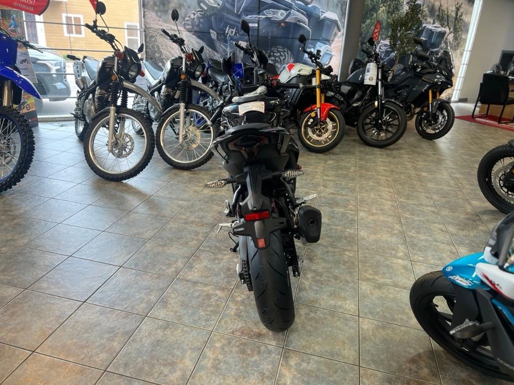 Cfmoto 450ss 2024 alt