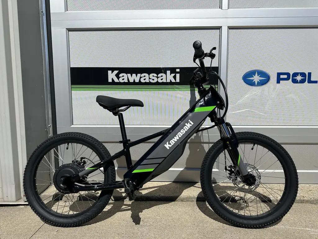 Kawasaki Elektrode 20" 2025