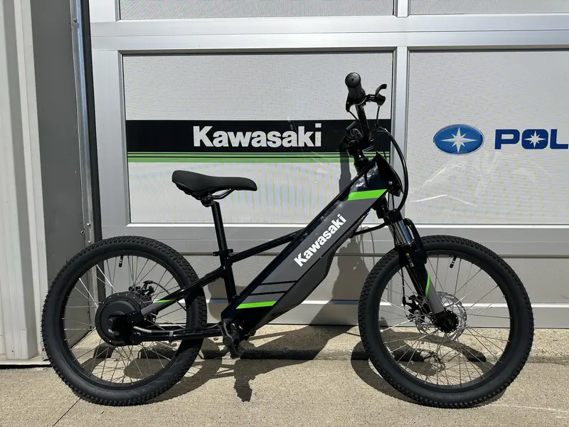 2025 Kawasaki Elektrode 20"