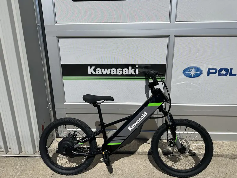 2025 Kawasaki Elektrode 20"