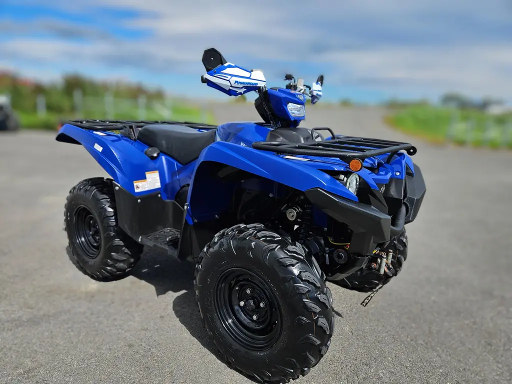 2020 Yamaha Grizzly