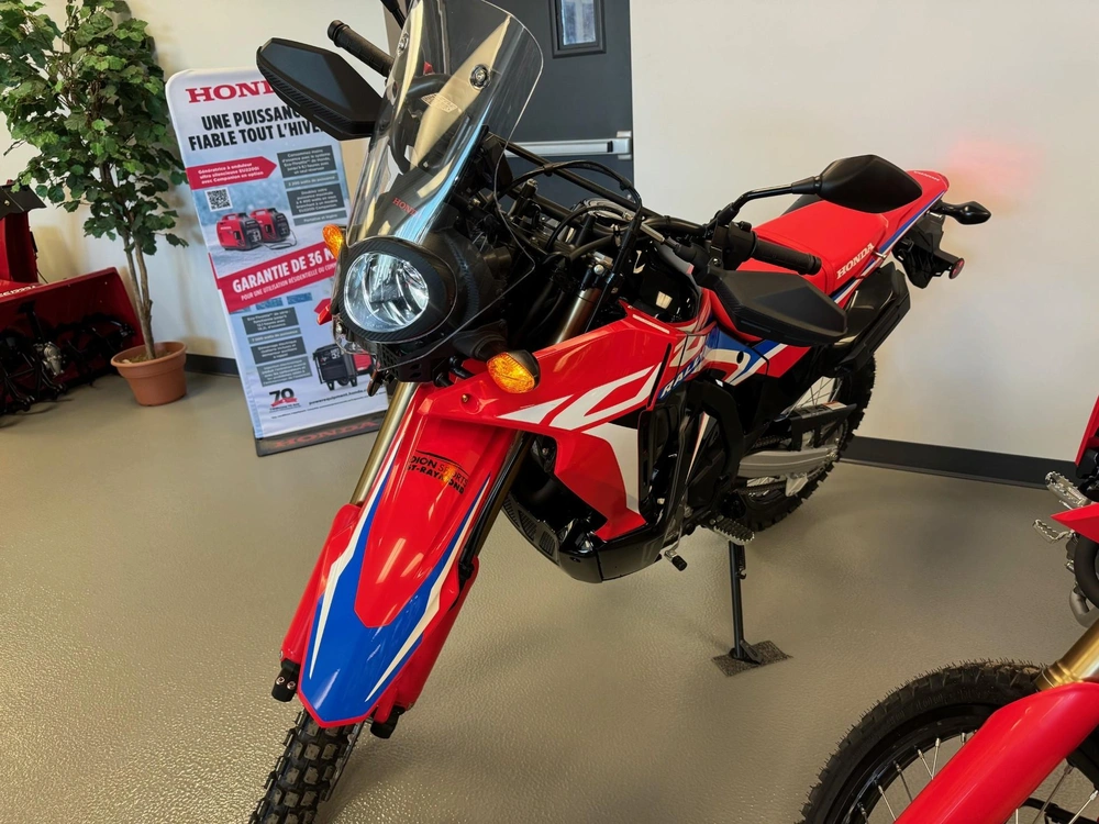Honda Honda Crf300l Rally Crf300 2024 alt
