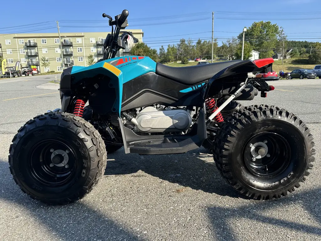 2024 Can-Am Renegade 110 EFI 