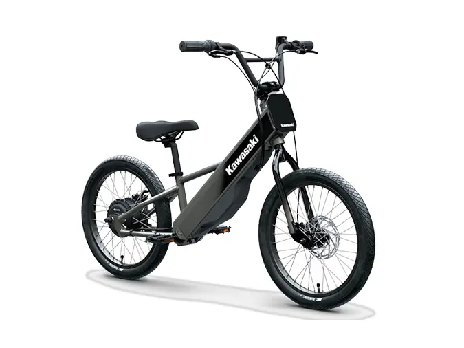 2025 Kawasaki ELEKTRODE 20FS