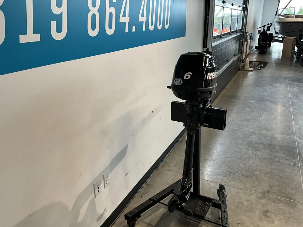 Mercury 6 Hp Pied Long 2011 alt