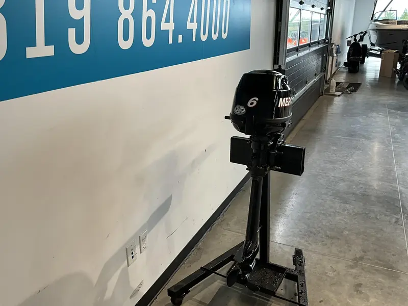 Mercury 6 HP Pied long 2011