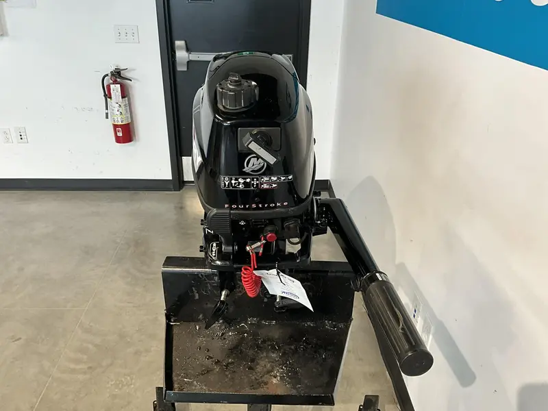 Mercury 6 HP Pied long 2011